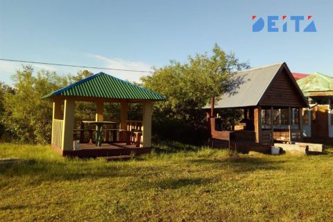 Интерес к благоустройству загородных участков вырос у россиян летом