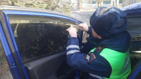 В Госдуме закрывают лазейку для затонированных машин с чужими номерами