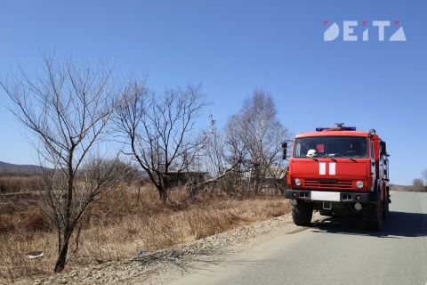 ИИ против огня: Приморье усилило систему мониторинга лесных пожаров