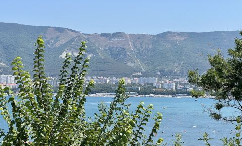 Сайт аэропорта Геленджика стал бесплатным